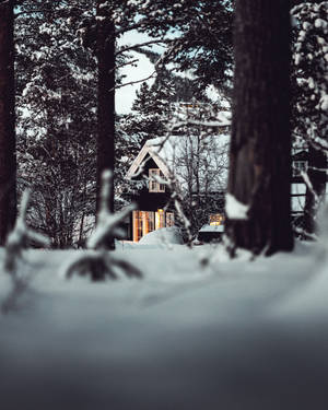 Huis met warm beligting en sneeubedekte dak in sneeubos