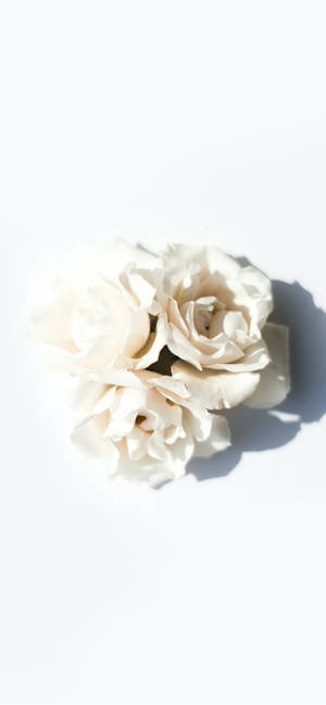 Beige-iPhone — iPhone 17 Pro Max Muurpapier