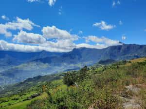 Natuuragtergrond,Natuur,Natuurlike Hulpbronne,Natuur 4k,Natuur,Horisontale Lyn Png