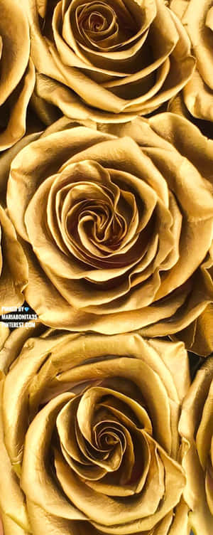 Bruin En Goud — Galaxy Z Vou 6 Muurpapier