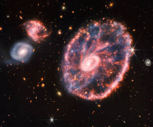Nebula-sterrestelsel Lewend