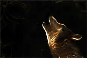 Sterrestelsel Wolf agtergrond — Galaksi wolf Muurpapier