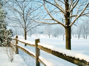 New Hampshire Winter — Winter Muurpapier