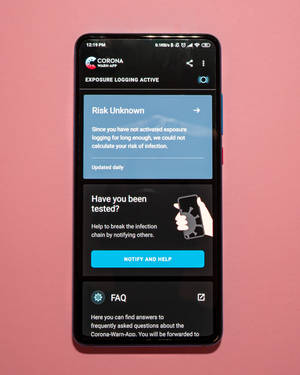 Nokia Slimfoon Roos Agtergrond — Nokia Muurpapier