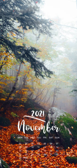 November 2021 Kalender mistige bos muurpapier — iPhone 13 Pro Max Muurpapier