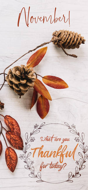 November Dankbaar Vandag agtergrond — iPhone 14 Plus Muurpapier