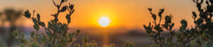 4K Natuuragtergrond — 4K natuur GIF Muurpapier