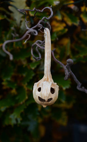 Oktober Halloween Spookpampoen muurpapier. — RedMagic Table Muurpapier