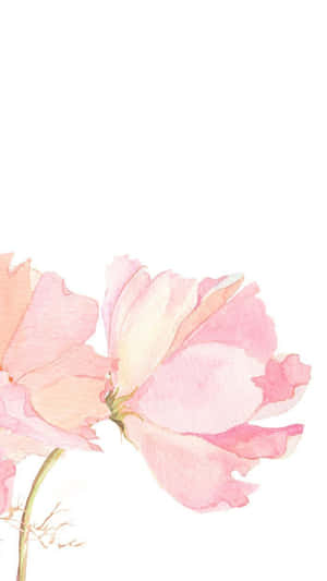 Pienk Blomme