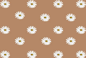 Blomme Beige Bruin Estetika muurpapier