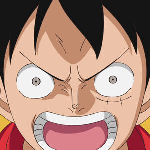 One Piece Luffy Naby — One piece Muurpapier