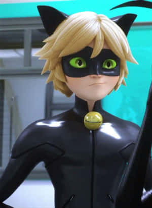 Cat Noir prente