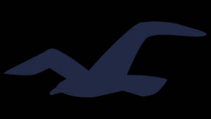 Hollister ikoniese vlootblou seemeeu-agtergrond — Battery Saving Muurpapier