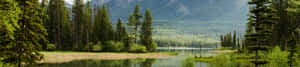 4K Natuuragtergrond — 4K natuur GIF Muurpapier