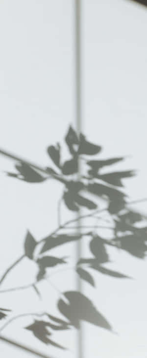 1080x2636 — Tecno Phantom V Flip2 Muurpapier