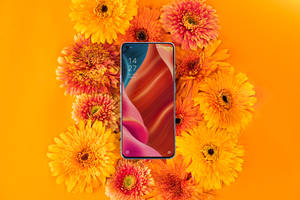 Oppo Slimfoon en Welige Flora