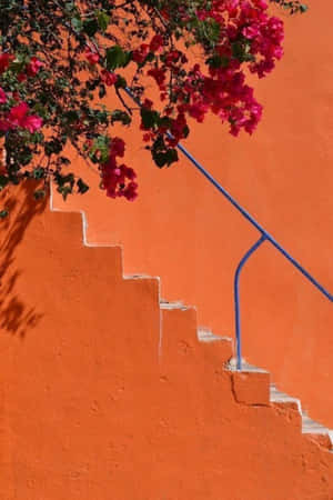 Oranje Estetiek prente — Oranje estetiese GIF Muurpapier