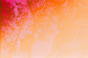 Banieragtergrond — Oranje estetiese GIF Muurpapier