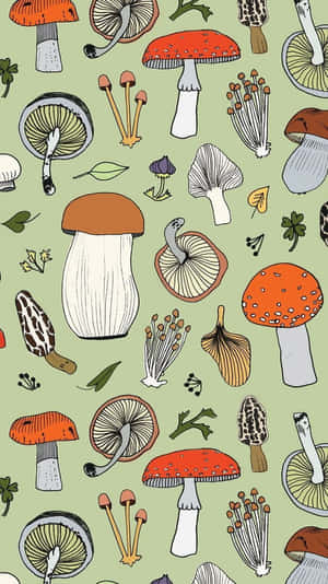 Ouderwetse Oulike Sampioen Flora Mengsel Salie Groen — Sampioen-estetiek Muurpapier