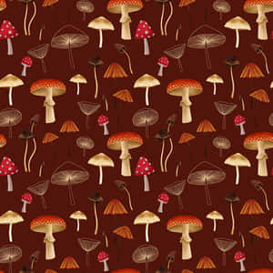 Ouderwetse Oulike Sampioen Flora — Bruin estetiese GIF Muurpapier