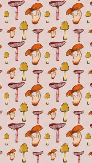 Ouderwetse Oulike Sampioen Groovy Blompatroon — Sampioen-estetiek Muurpapier