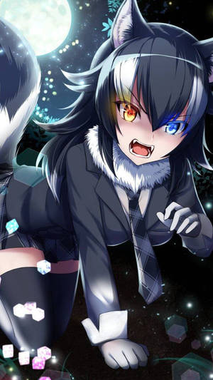 Oulike Anime PFP Wolf Meisie agtergrond — Snoesige anime meisie Muurpapier