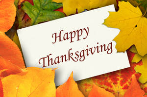 Oulike Droë Herfsblare vir Danksegging — Oulike Thanksgiving Muurpapier