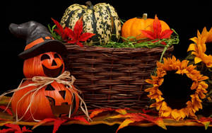 Oulike Estetiese Halloween Pampoene en Blomme — Oulike estetiese halloween Muurpapier