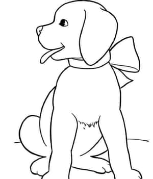 Hond Kleurprente — Motorola Razr Ultra 2025 Muurpapier