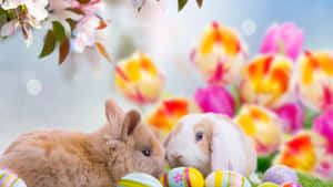 Oulike Paashaasies en Kleurvolle Eiers op 'n Lewendige Lente-agtergrond — Oulike paasfees Muurpapier