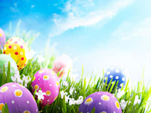 Oulike Paashaasies wat Lente Vier — Oulike paasfees Muurpapier