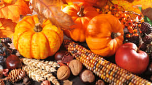 Oulike Thanksgiving-agtergrond — Oulike Thanksgiving Muurpapier