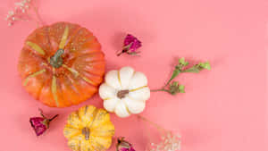 Oulike Thanksgiving-agtergrond — Oulike Thanksgiving Muurpapier