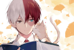 Oulike Todokori Met 'n Kat-agtergrond — Snoesige todoroki Muurpapier