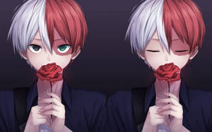 Oulike Todoroki met Rooi Roos-agtergrond — Snoesige todoroki Muurpapier