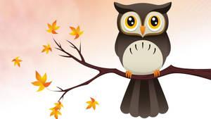 Oulike Uil Op 'n Boom-agtergrond — Oulike Uil Muurpapier
