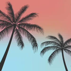 Palmbome Agtergrond — iPad Air Muurpapier