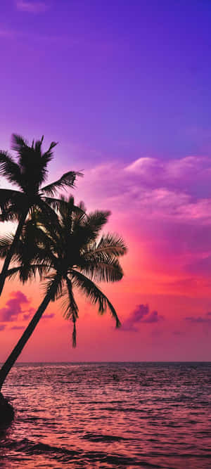 Palmbome Strand Skilderagtige Sonsondergang Malibu — ZTE Axon 60 Lite Muurpapier