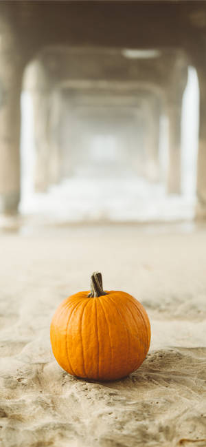 Pampoen Op Sand, 'n Thanksgiving Iphone Agtergrond — iPhone 17 Pro Max Muurpapier