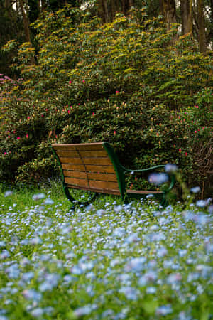 Parkbank Blou Blomme Foon — Huawei MatePad 11.5 (2026) Muurpapier