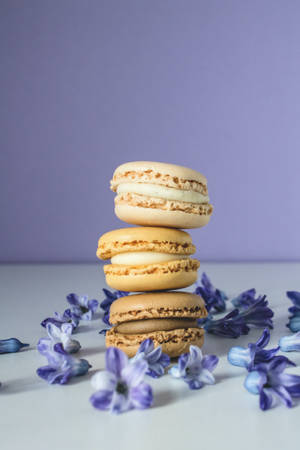Pastel iPhone Beige Macarons — Smaaklike iPhone Muurpapier