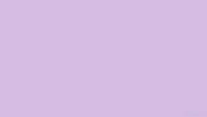 Pastel Pers Agtergrond — Pastel pers GIF Muurpapier