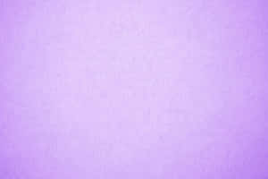 Pastel Pers Agtergrond — Pastel pers GIF Muurpapier