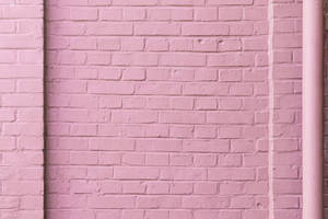 Pastel pienk baksteenmuur — Pastel pienk Muurpapier