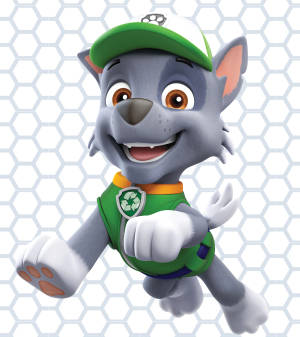 Paw Patrol Rocky-agtergrond — Oppo Find N5 Muurpapier