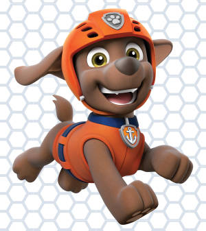 Paw Patrol Water Rescuer Zuma-agtergrond — Oppo Find N5 Muurpapier