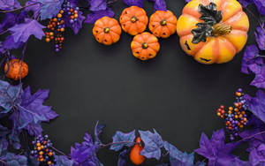 Pers Skoonheids-Halloween