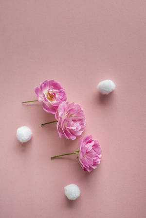 Pienk Vintage Estetika — Surface Muurpapier