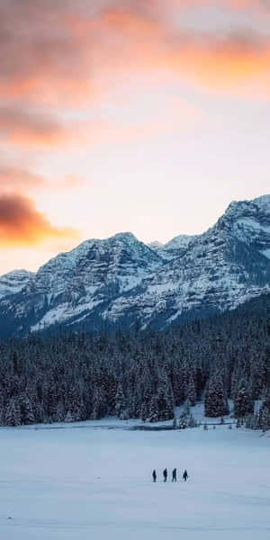 Pixel 3 Winter-agtergrond — Winters Estetika Muurpapier