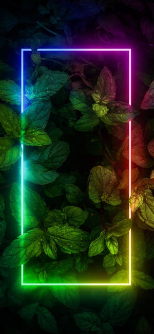 Plante Met Rand Neon Estetiese iPhone — iPhone 16 Plus Muurpapier